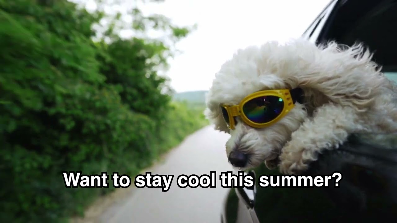 Stay Cool During the Summer - Dunco Heating & Cooling