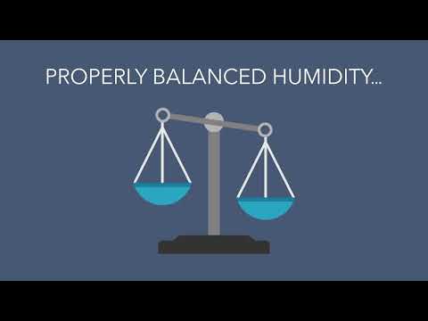 Facts About Humidity - Dunco Heating & Cooling