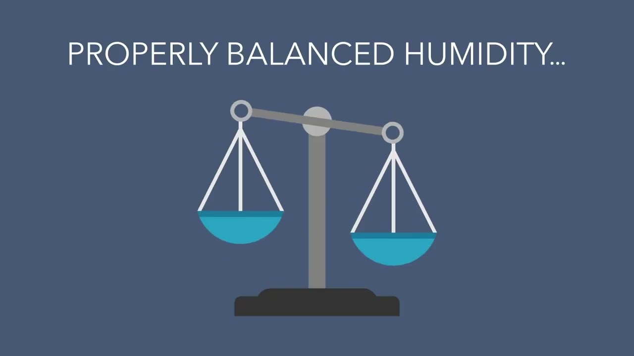 Facts About Humidity - Dunco Heating & Cooling