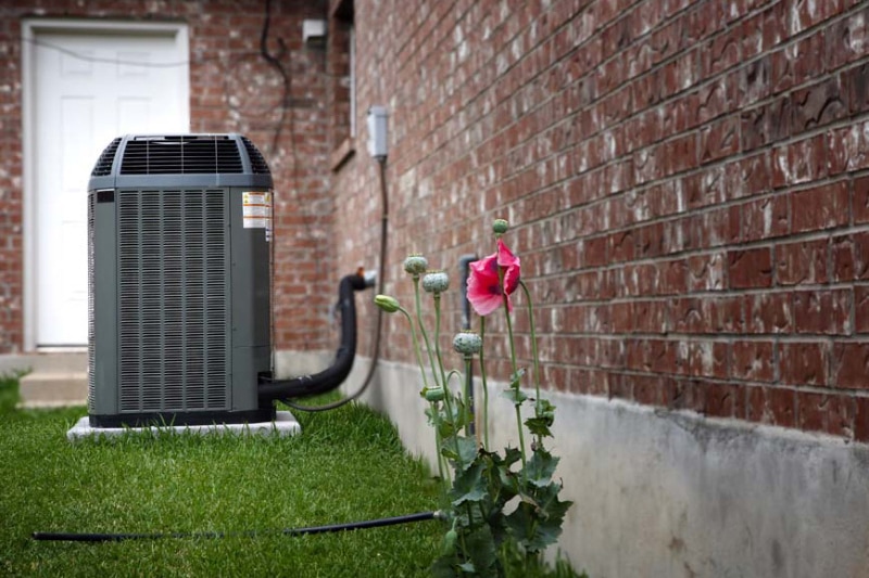 outdoor air conditioner next to a pink flower